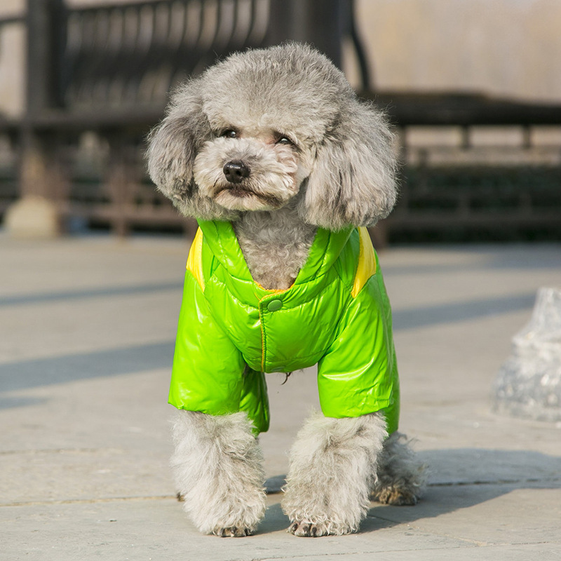 狗狗泰迪贵宾小狗衣服保暖衣服秋冬装天宠恶魔两脚衣宠物变身装