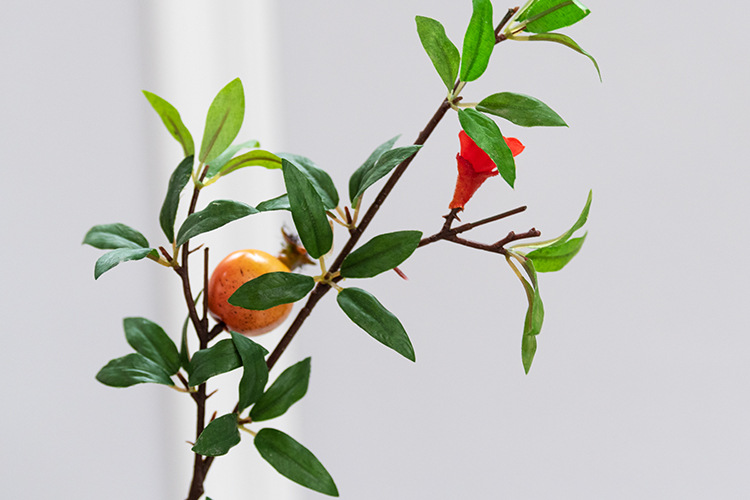 5头石榴带花 桔色_05.jpg