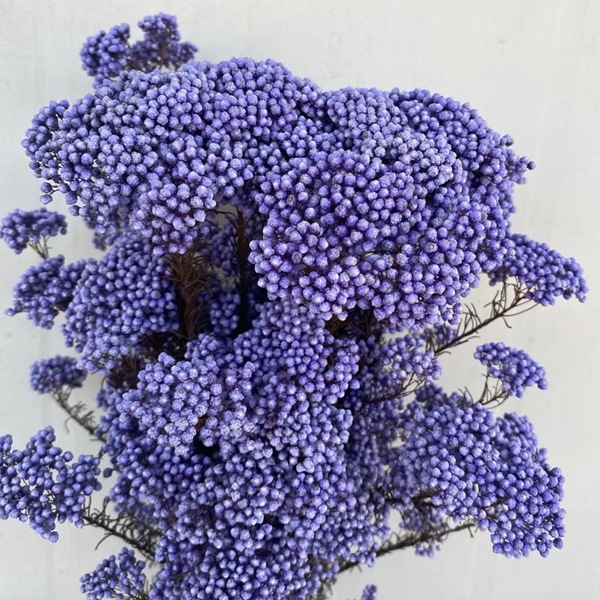 微信图片_20200408183231