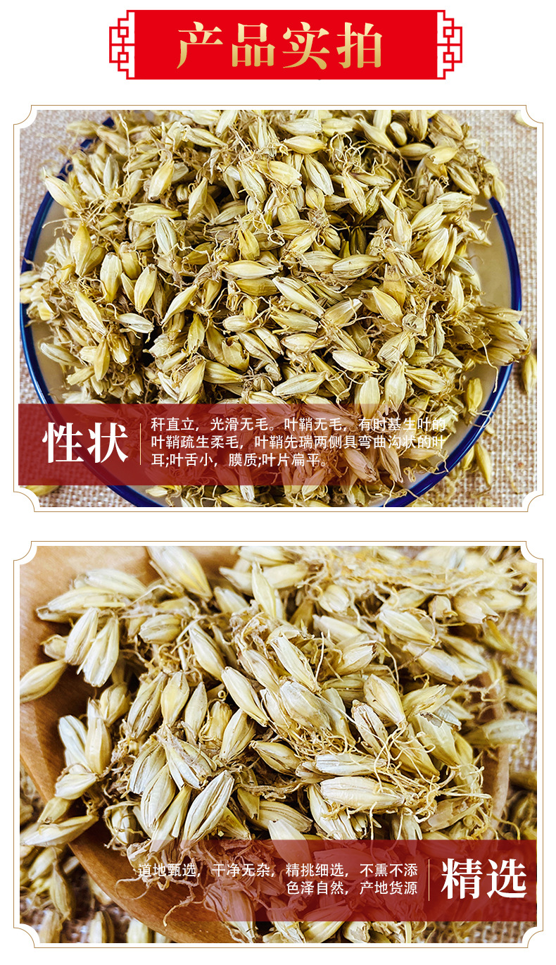 Dried Barley Malt Sprout Mai Ya 大麦芽 500g Whole Dried Sprouted Barley for Herbal Tea and Decoction key features