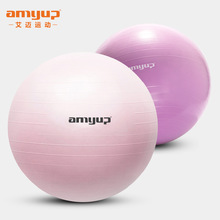 艾迈厂家直供瑜伽健身球健身美体55-65cm充气防爆瑜伽大球