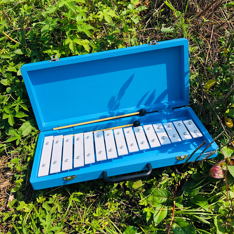 新款奥尔夫教具敲琴 15音木盒铝板琴儿童打击乐器 幼儿园音乐教具