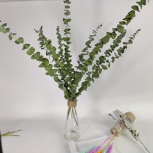 ȼ~ɻ ȼ~ rֱN ˇ廨 cbҾӔ[