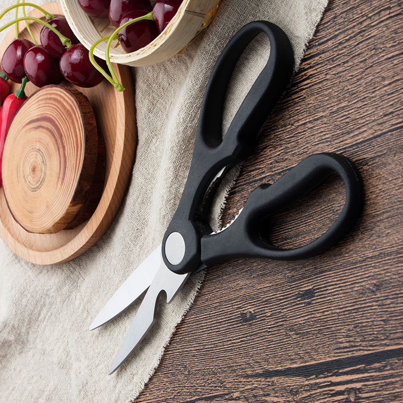 8619910814_2119555270