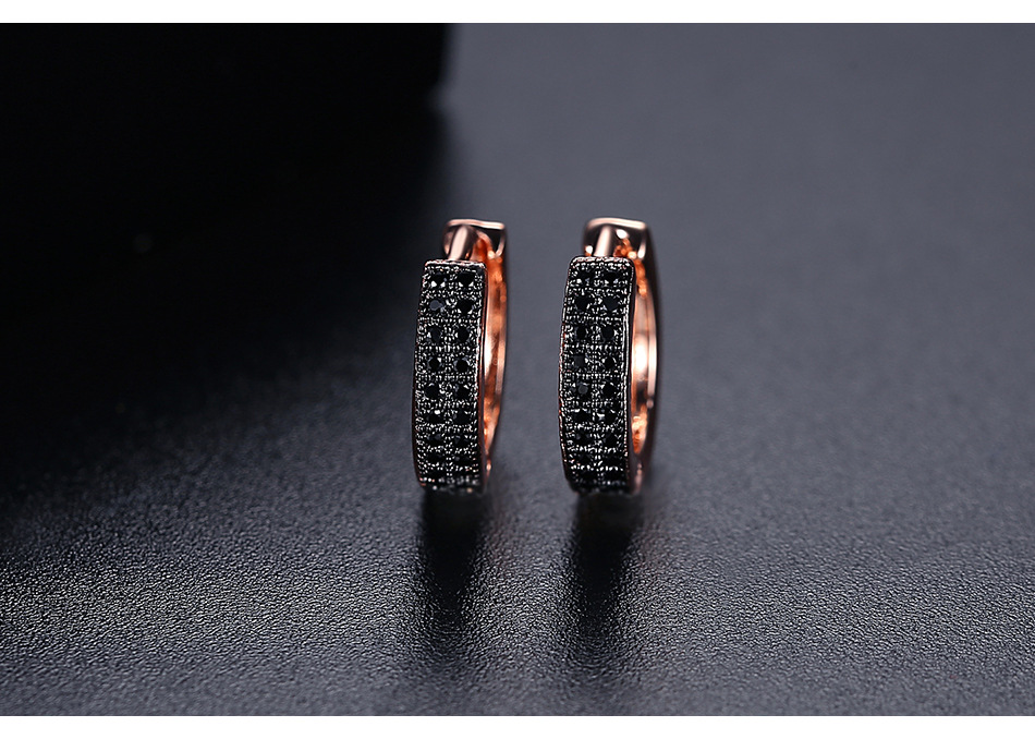 Fashion Simple And Small Double-row Copper Inlaid Zirconium Earrings Wholesale Nihaojewelry display picture 5