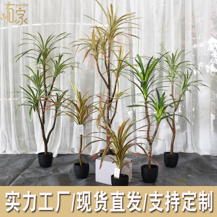Decoración suave para árbol de hierro de sangre de dragón artificial Nórdico madera brasileña falsa decoración de maceta artificial planta tropical paisaje paisajismo