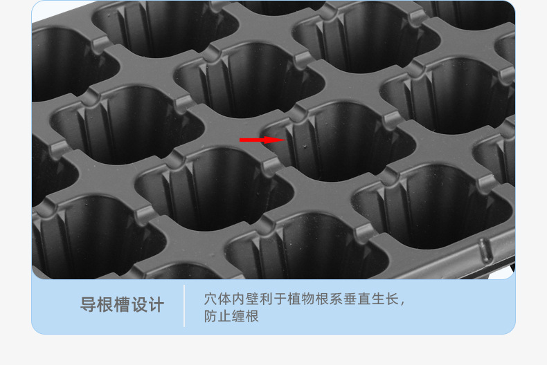 XQA系列详情图