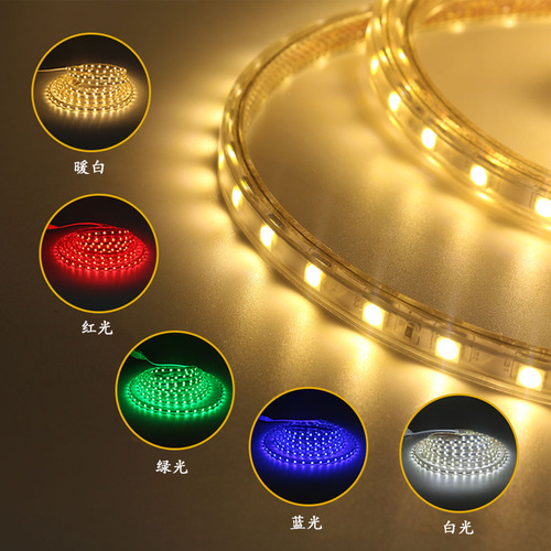 Indoor Outdoor Living Room Bar Colorful LED Strip 5050 High Voltage LED Strip 220V Waterproof 60 LED Flexible Light Strip