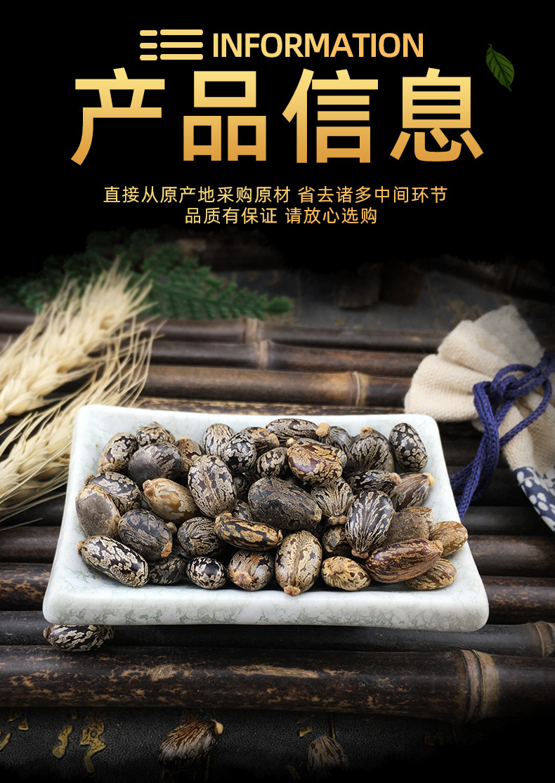 Castor Seeds Bi Ma Zi Dried Ricinus Communis Bulk Herbal Seeds 500g specifications