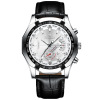 Mechanical waterproof mechanical watch, big dial, calendar