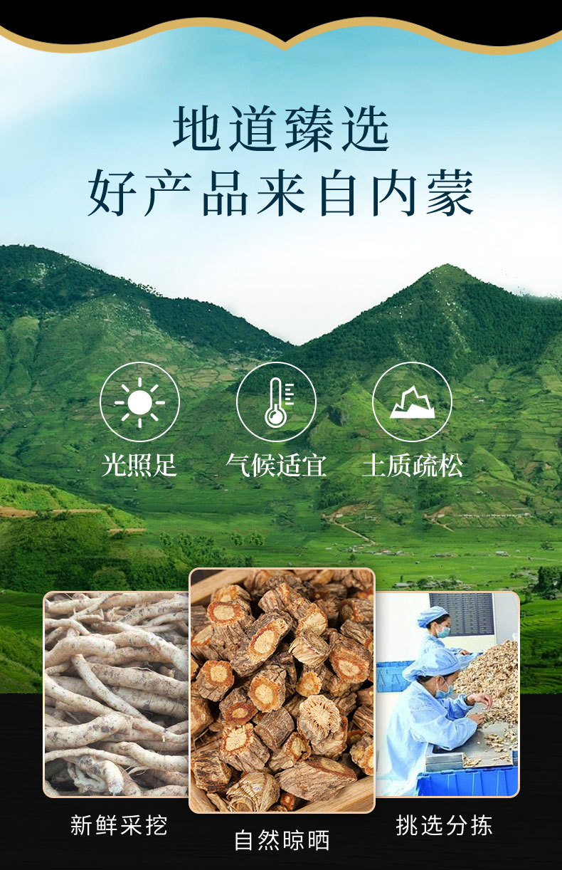 Fang Feng Root (Saposhnikovia divaricata) — Unsulfured Dried Herb, Powder Option, 500g overview
