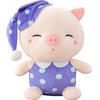 Cute doll, plush toy, children's pillow, new collection, cat, Birthday gift