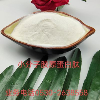 海洋鱼低聚肽粉  小分子胶原肽 食品级鱼胶原蛋白粉 胶原蛋白厂家|ms