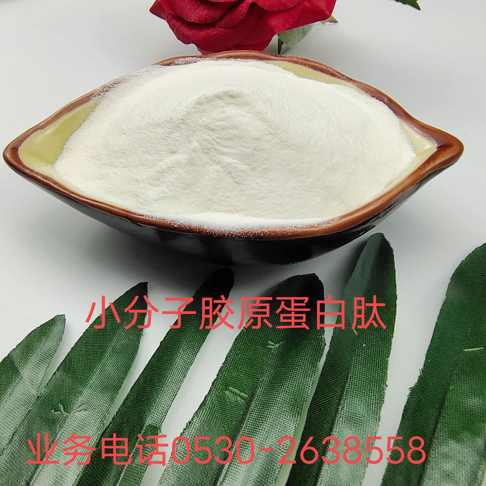 海洋鱼低聚肽粉  小分子胶原肽 食品级鱼胶原蛋白粉 胶原蛋白厂家