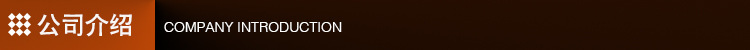 公司介绍