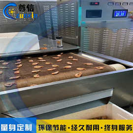 带式微波烤虾机 鲜虾微波烘烤机图片 尊信微波烤虾机