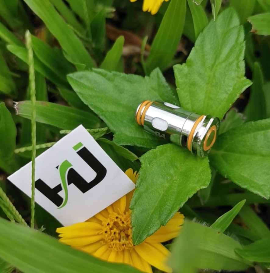 DE3E5379CCC95470F317A9129BC873