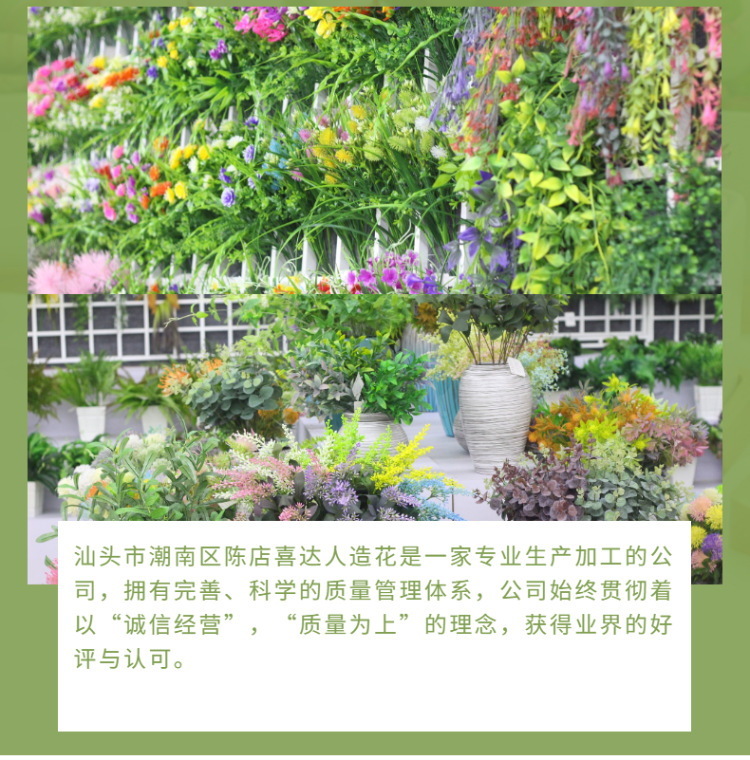 绿植花卉-盆栽-植物-多肉-详情页-3
