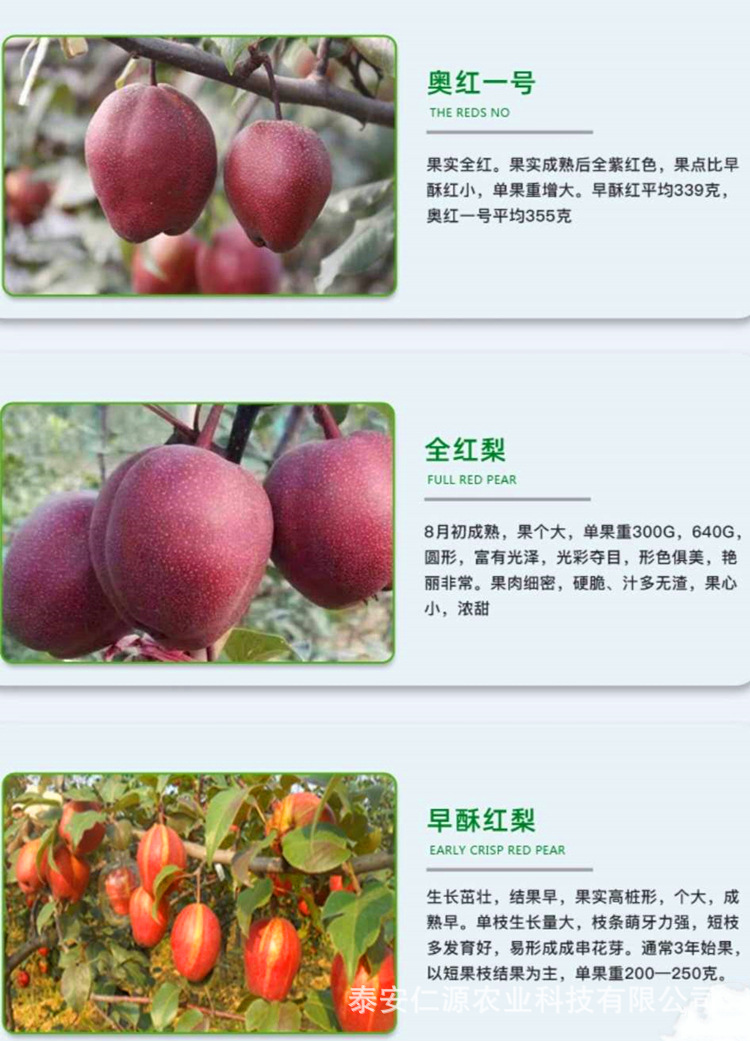 86c086cd6dbc50e1f8e08a2e136772