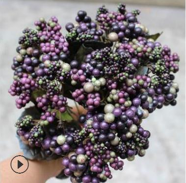 6 forks deep purple