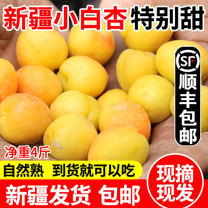 新疆小白杏新鲜当季采摘水果轮台库车非小红杏4斤装顺丰包邮杏子