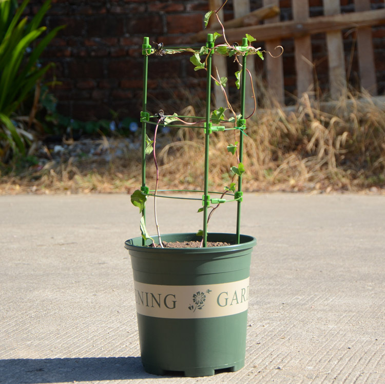 工品云 园艺花支架家用爬藤架室内盆栽植物绿萝固定铁环花架月季花支柱