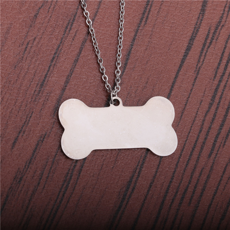 Titanium Steel Dog Tag Pendant Necklace display picture 1