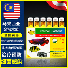 金狮黄粉鱼药烂肉万能疾病治疗杀菌锦鲤龙鱼立鳞烂尾肠炎白点净