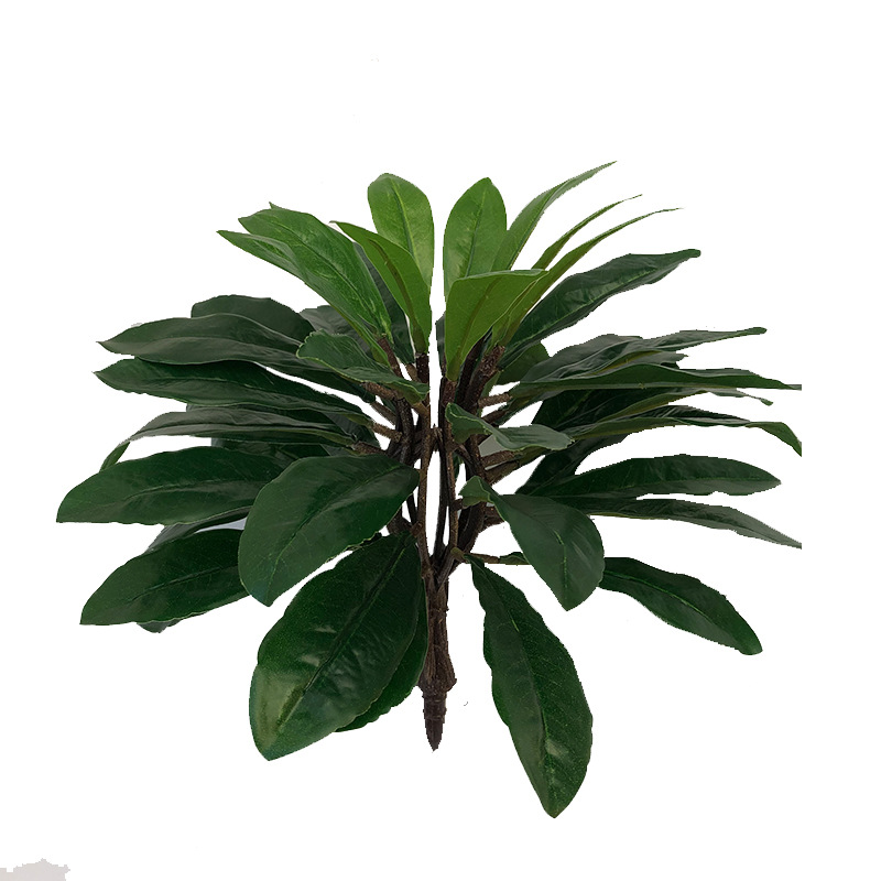 XRS-012 盆栽杨梅树叶  (6).jpg