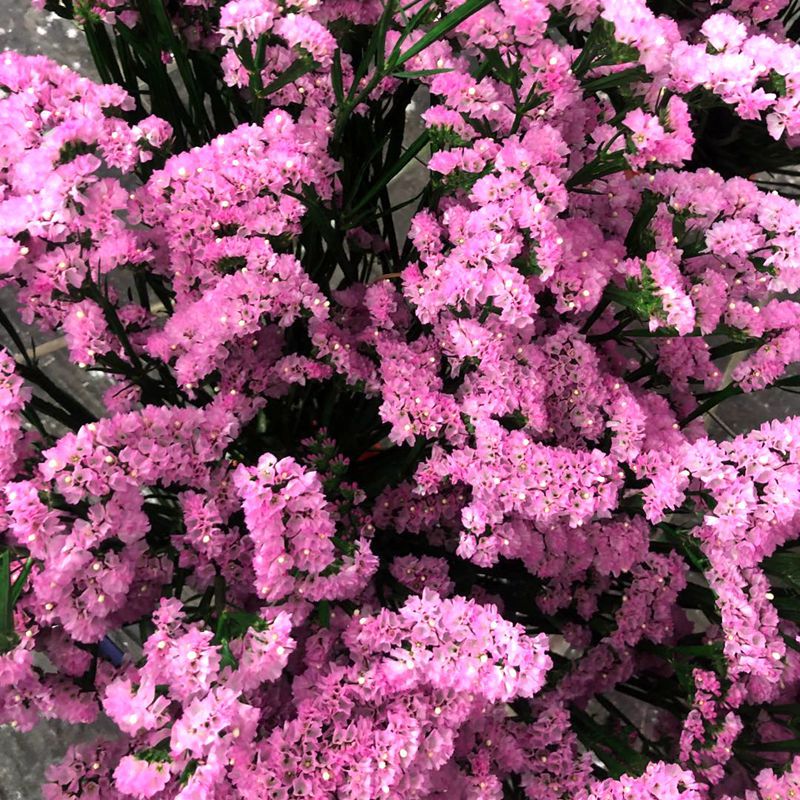 微信图片_20200221143147_副本