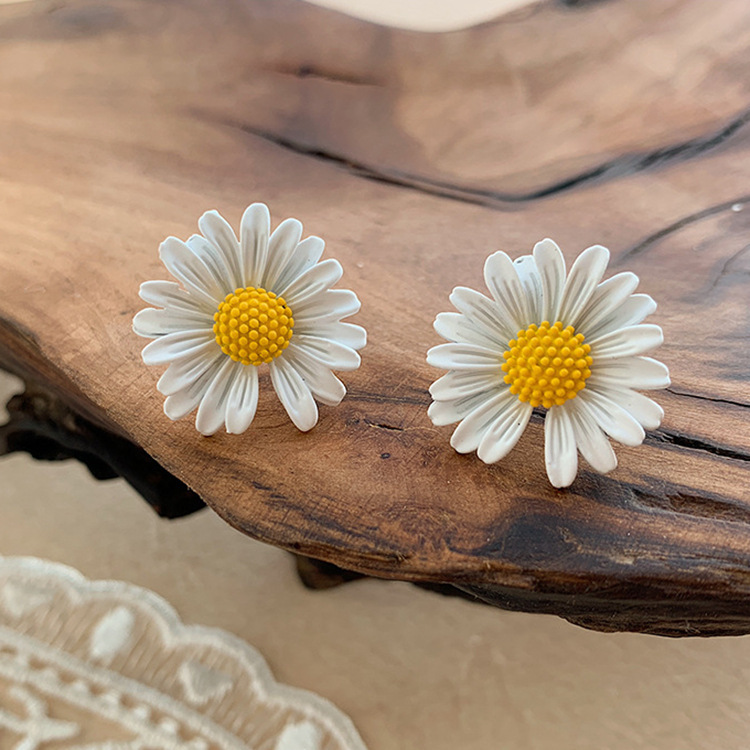 20436779017_1490534638