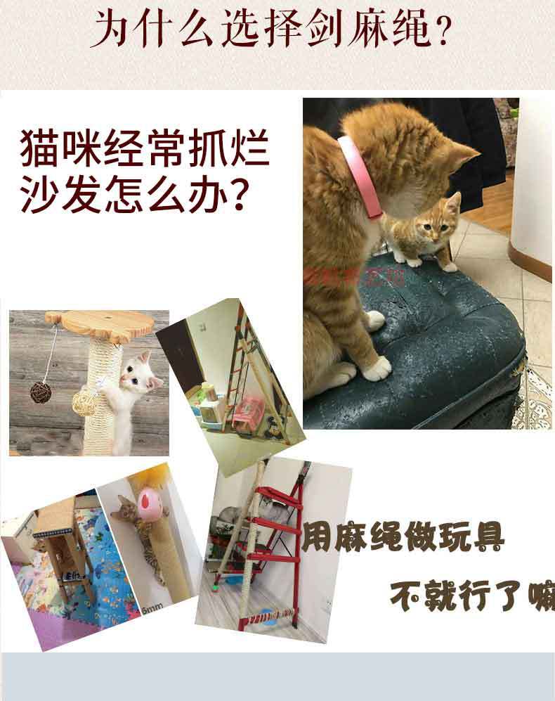 剑麻详情_04