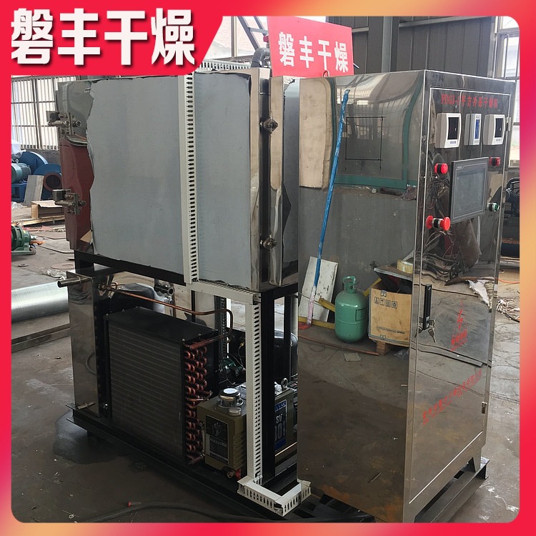 农副产品系列真空冷冻干燥机 榴莲冷冻干机 菠萝蜜冻干设备