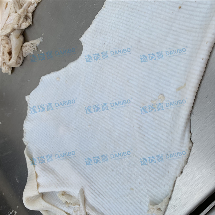 *大型猪皮去油机 新鲜猪皮刮油机猪皮卷去油脂机 不锈钢自动去油