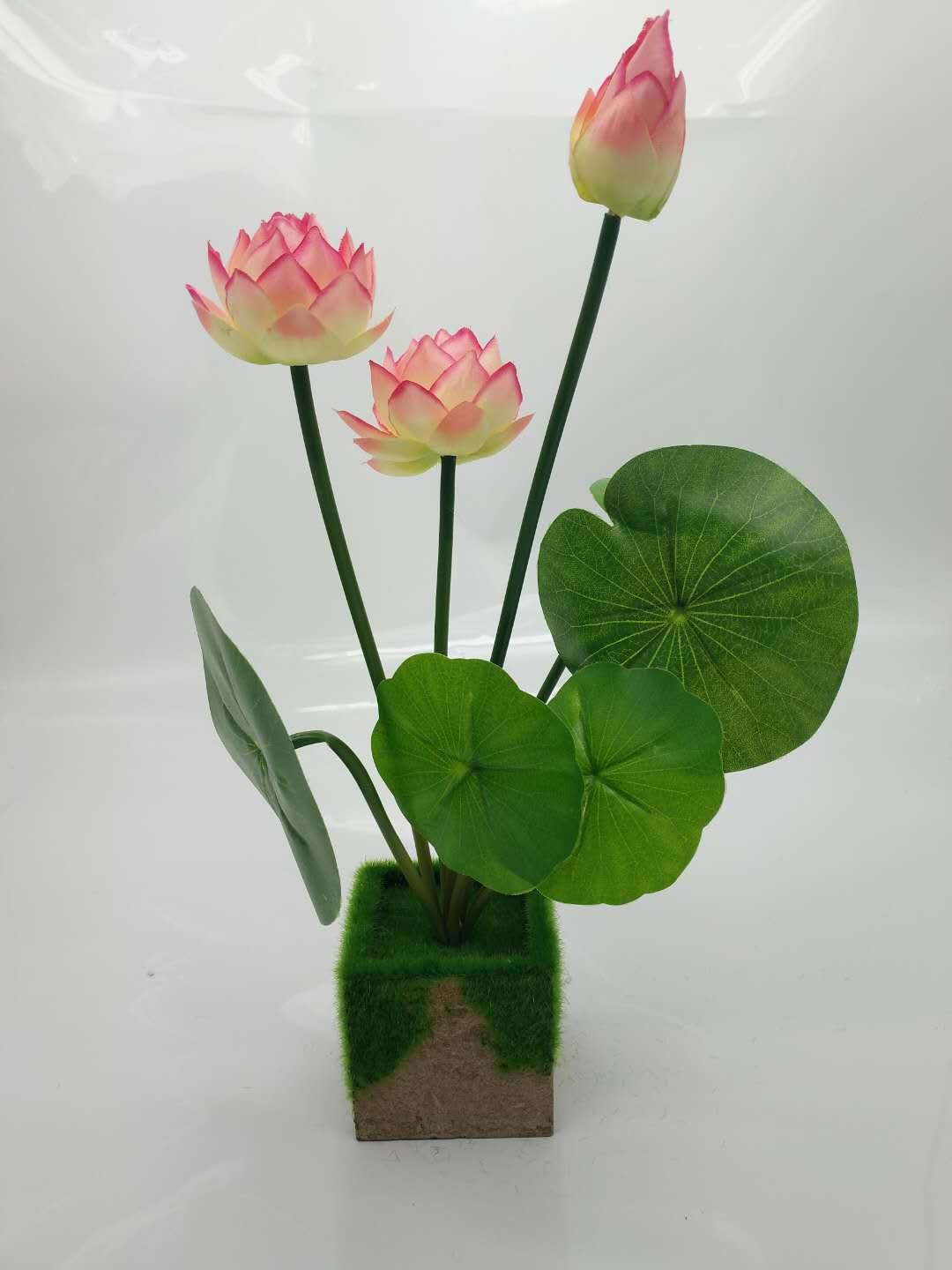 WeChat 圖片_20200705164808