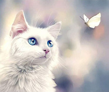 ���ldiy�ʯ����؈�����ʯ��ʮ�ֽ�