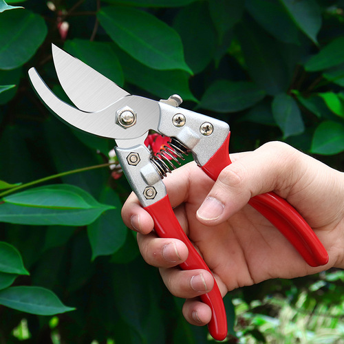 Yingcai zinc alloy garden scissors SK5 stainless steel large diameter powerful pruning shears flower branches fruit tree thick branch garden shears