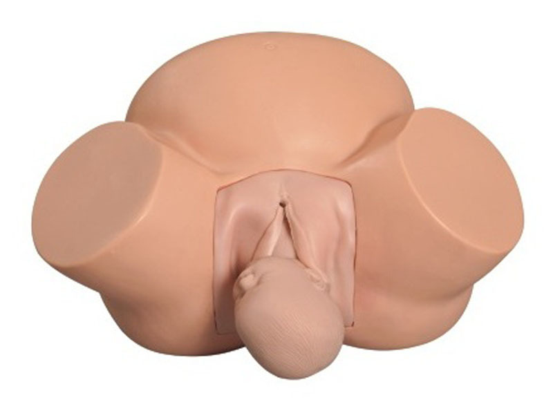 医信MDCD高级助产训练模型女性分娩示教模型骨盆模型婴儿模型|ms