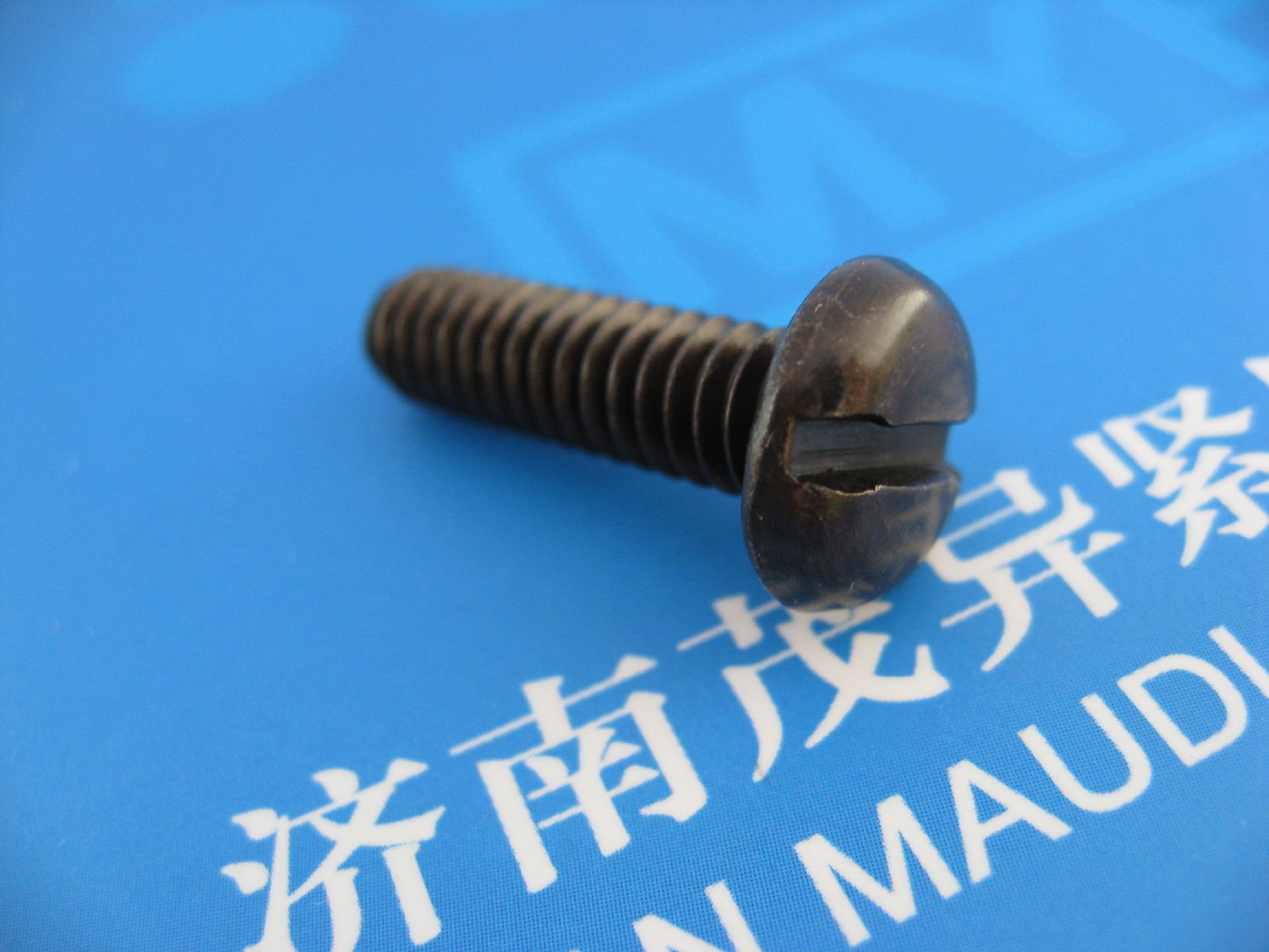 开槽盘头螺钉GB67.M6乘22 (6)