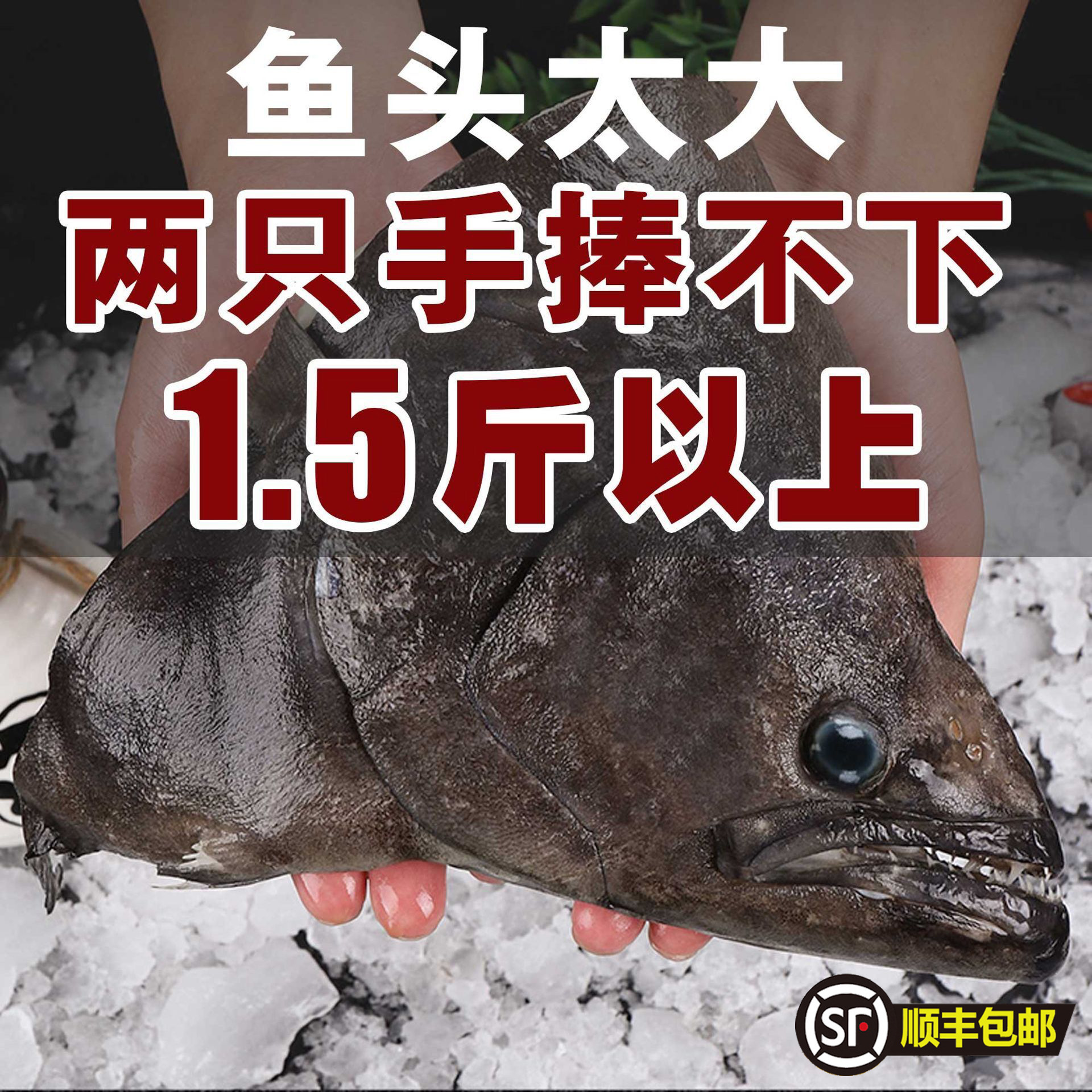 4只顺丰包邮鸦片鱼头新鲜深海碟鱼头格陵兰比目鱼海鲜水产鲽鱼头