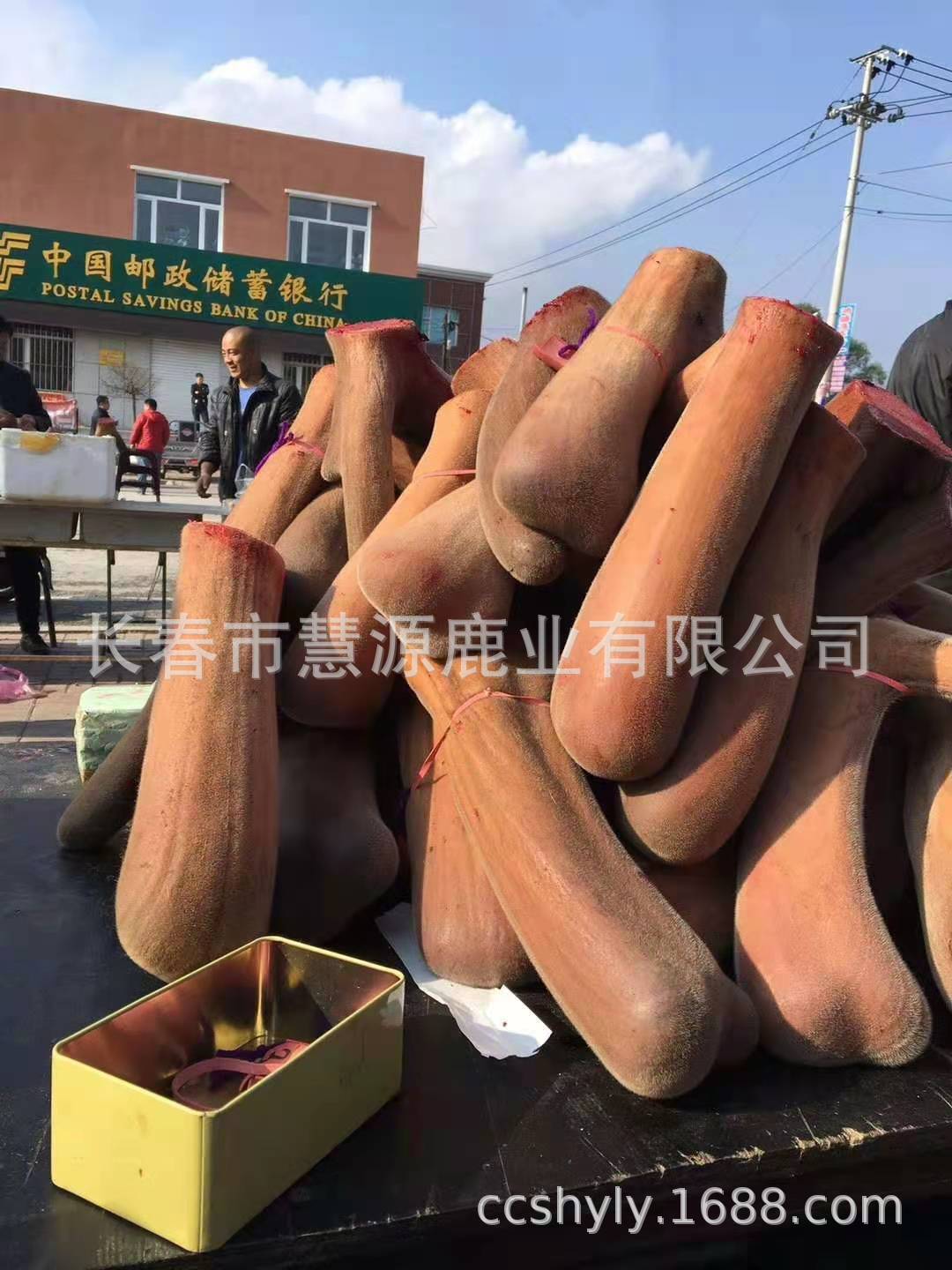 微信图片_202012141015385