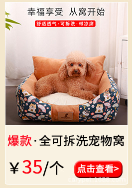 Canvas Backrest