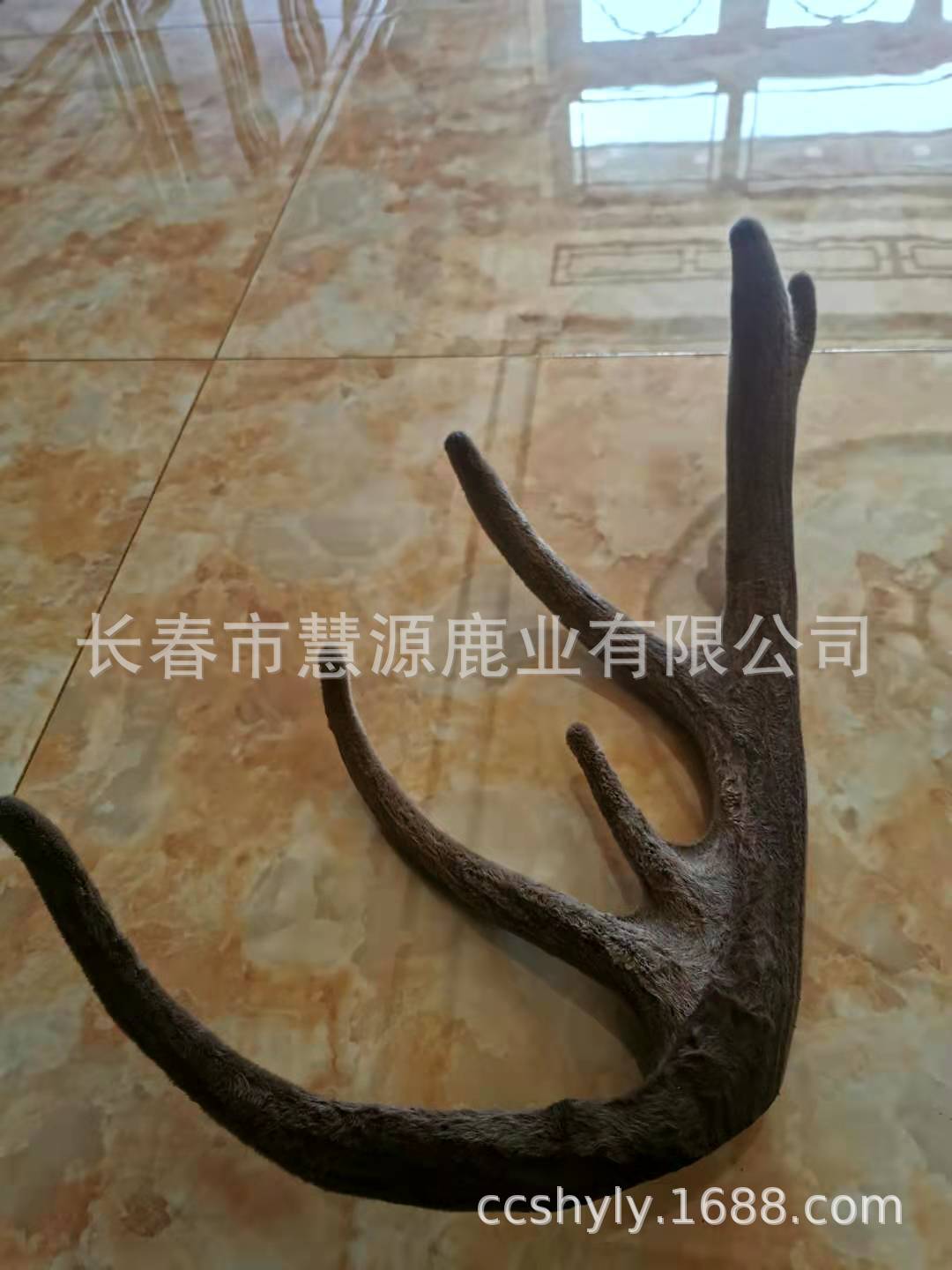 微信图片_2020112114243336