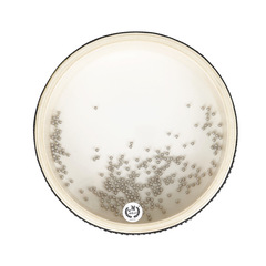 American Beat 6-inch Double-Sided Transparent Wooden Sea Wave Drum Instrument Wholesale – Orff Percussion Instrument with Large Waves