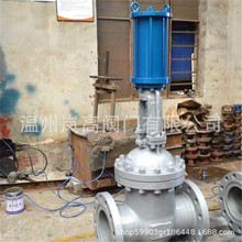 �F؛���� Z641F-16C �T䓲��| ���m�B�� ���I�w���� DN400