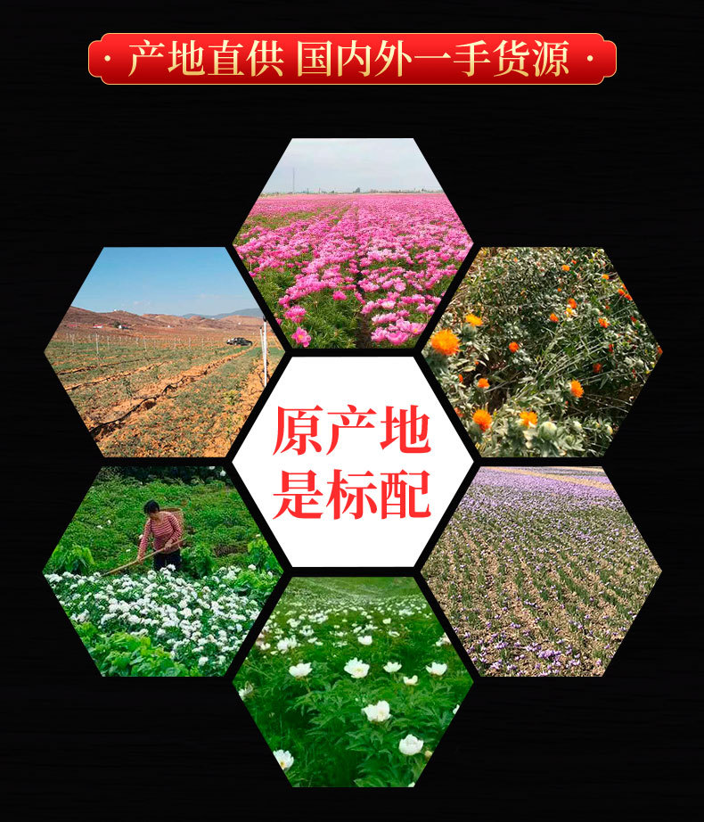 Huang Lian Slices (Coptis chinensis) — Dried Bitter Herb for Cooking & Herbal Use quality and texture