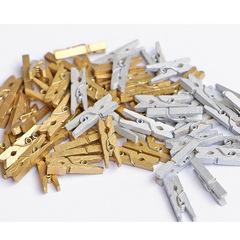 2.5cm Colorful Wooden Clips, Photo Clips, Decorative Clips, Miniature Wooden Clips, Gold and Silver