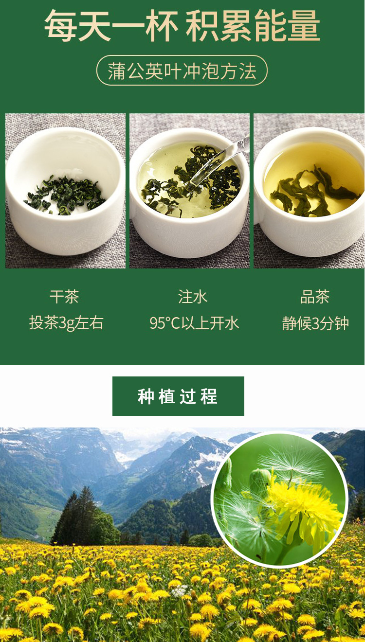 Dandelion Leaf Tea (Taraxacum officinale) — Dried Pu Gong Ying Herbal Tea, 500g Loose Leaf specifications