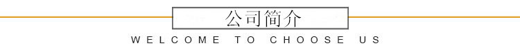 4.公司简介（1）