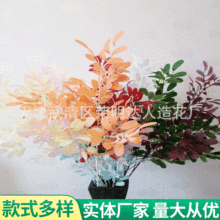 ֦~ ֦~L֦ ҾƷ cYƷ